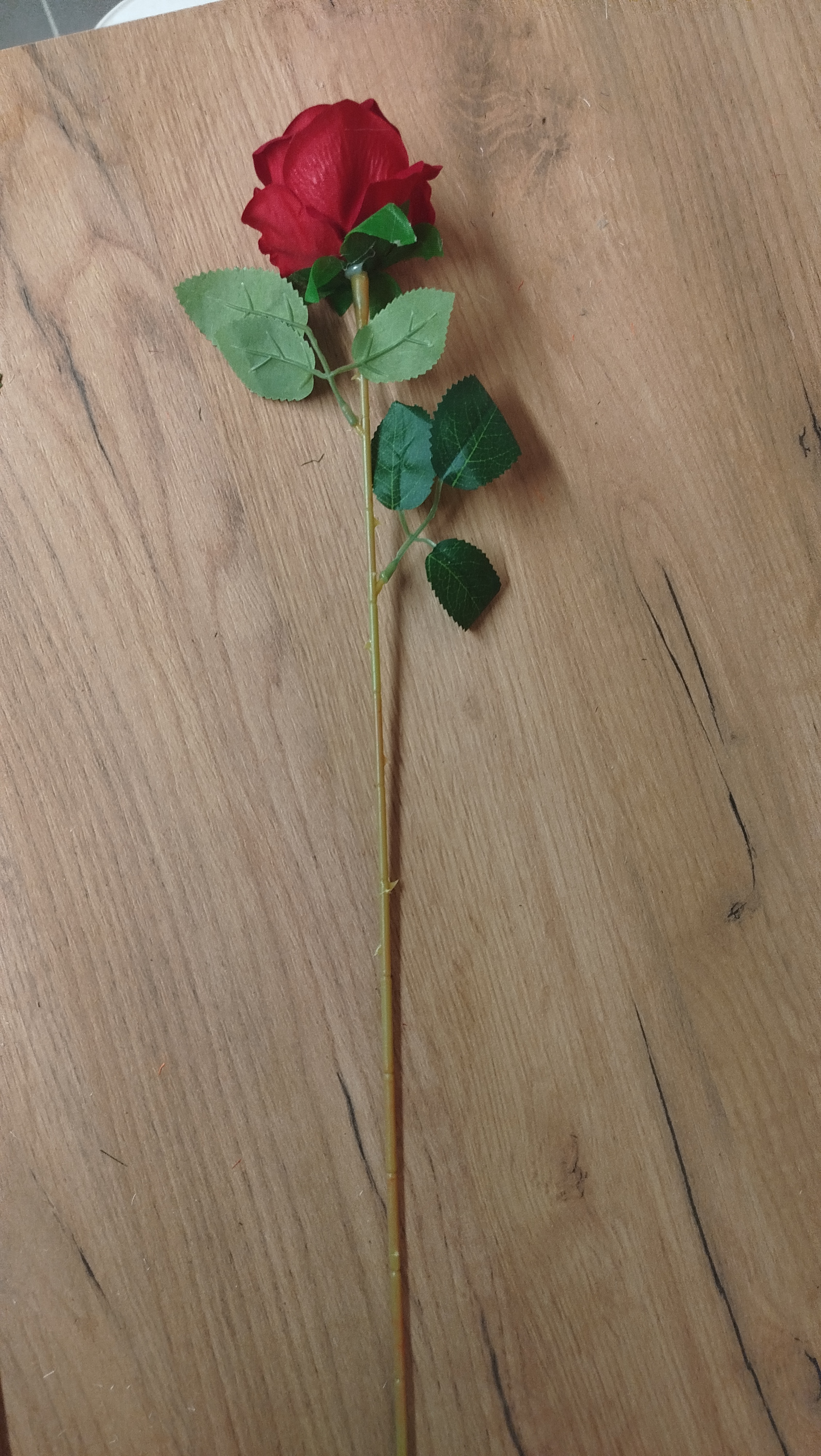 Цветы одиночные Роза HL 9 (100шт) арт:2432