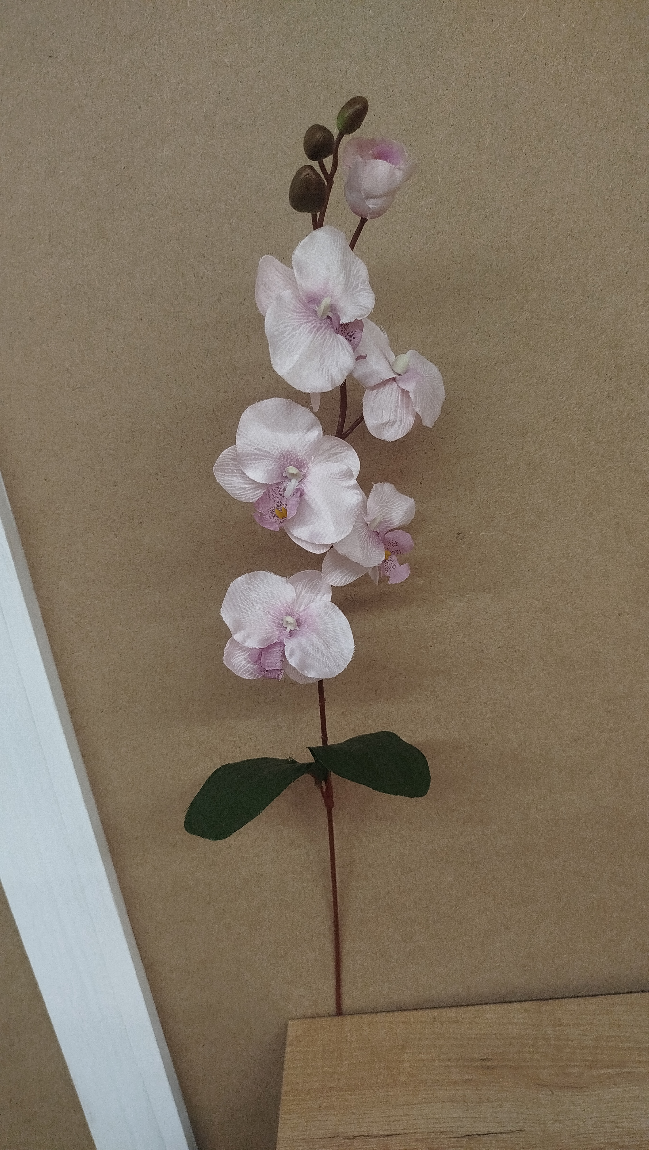 Цветы одиночные Орхидея 364S арт:2427