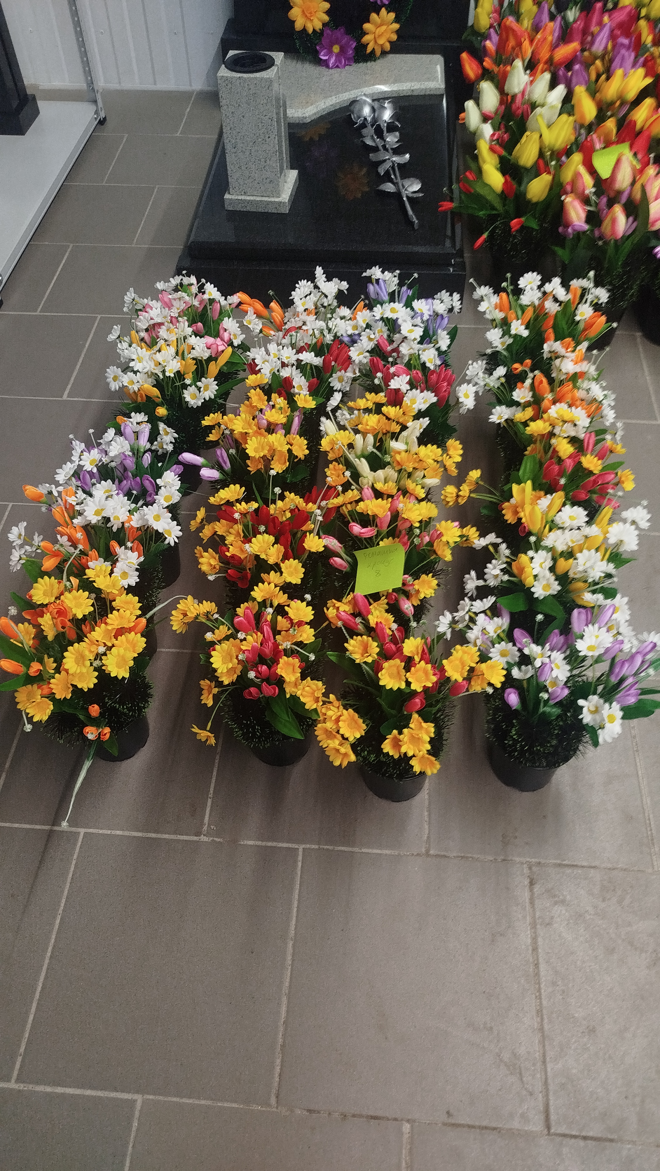 Цветы в вазонах Ромашка крокус арт:2384