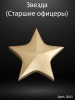 Звезда старшие офицеры (19*18*3 см. Гранит Габбро, окраска золото) арт:2643