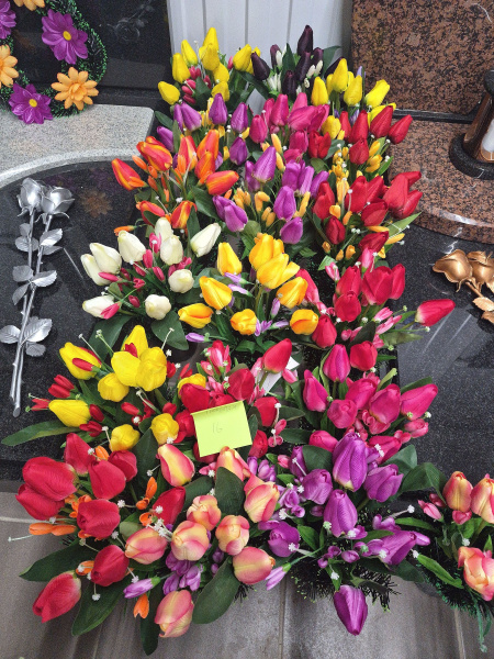 Цветы в вазонах Тюльпаны арт:2383