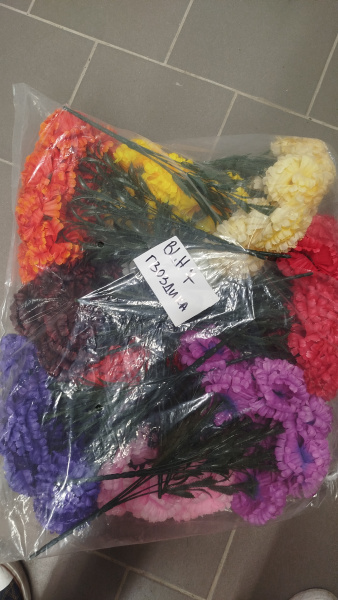 Цветы одиночные Гвоздика BLH 7 mix арт:2416