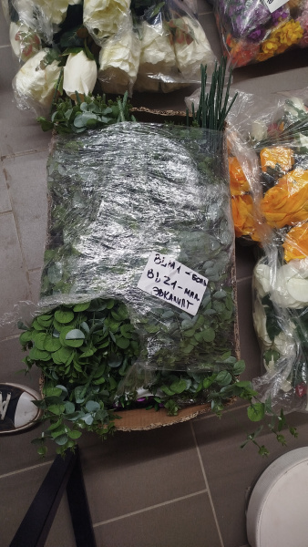 Цветы одиночные BLM 1 (20шт) арт:2417