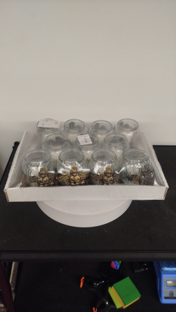 Лампада стеклянная Ангелок Бронза (размер 16х8, корпус овал, колба прозрачное стекло, пластик бронза, Ангел бронза, в упаковке 11 шт.) арт:2526