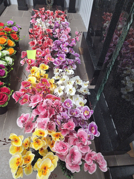 Цветы в вазонах Орхидея арт:2387